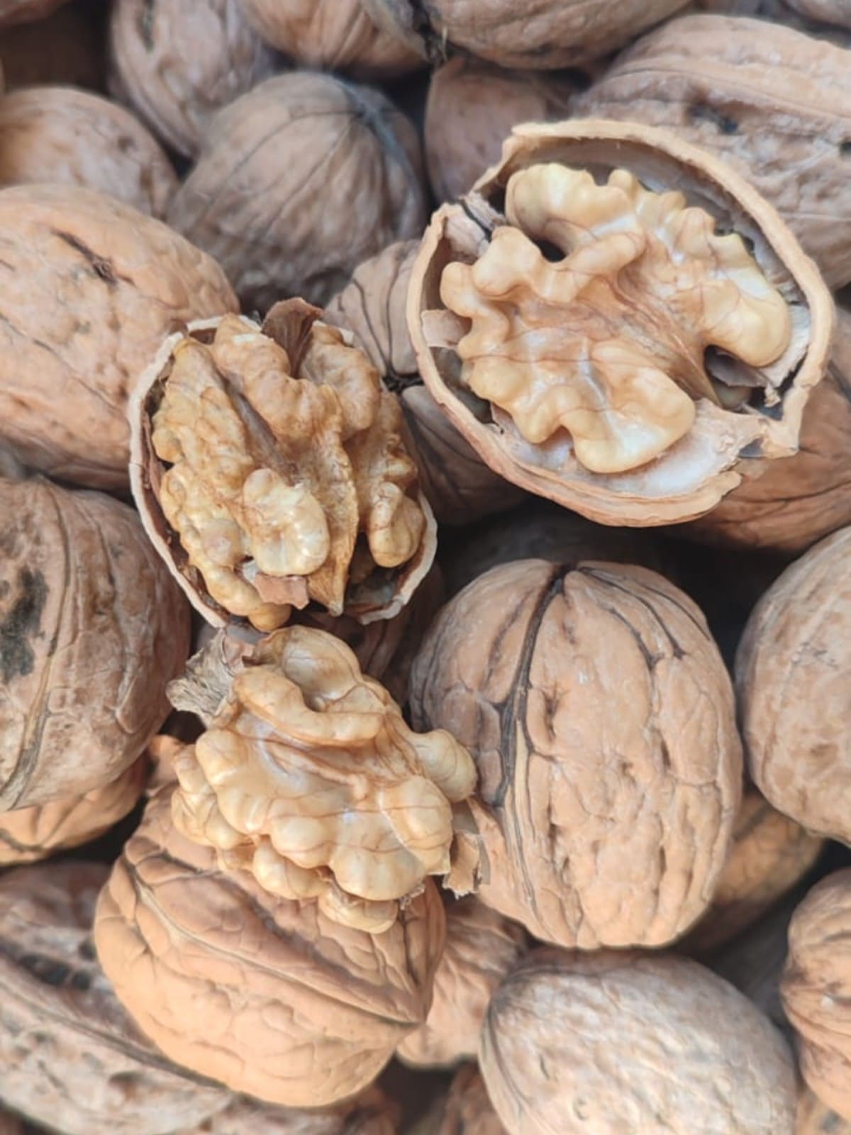 ceviz içi 500g Ceviz İçi 500 gr - Görsel 1