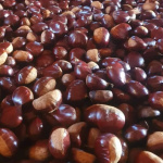 Kestane 1 Kg